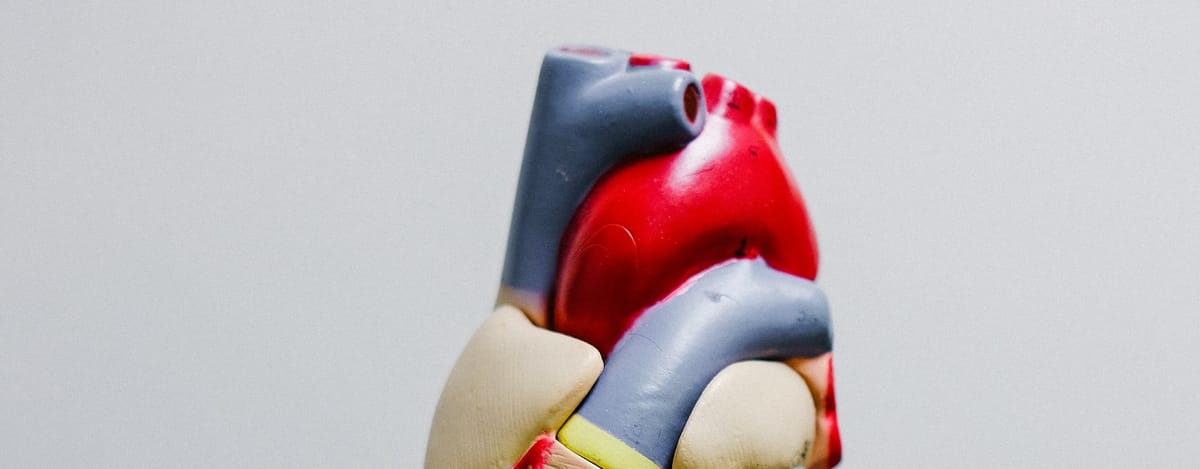 Animated Short on Cree Heart Health Premieres at Toronto Film Festival