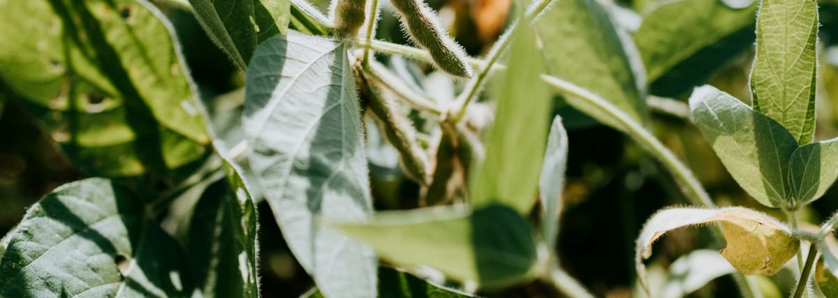 July 2024 Agricultural Product Price Report