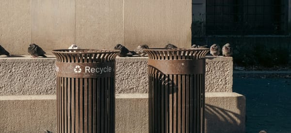 Smooth Rock Falls Reschedules Waste and Recycling Pickup