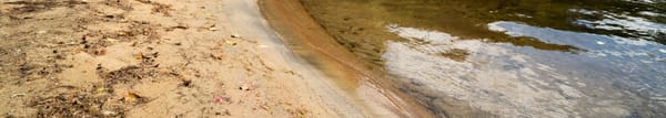 Check It Out: Beach Day Event at Lake Commando Beach on August 23