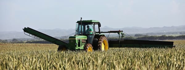 Farm Product Price Index Declines in June 2024